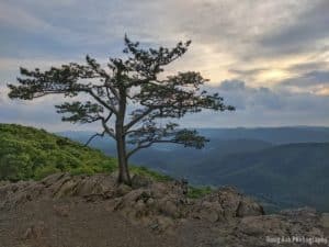 Raven's Roost on the Blue Ridge Parkway in Virginia